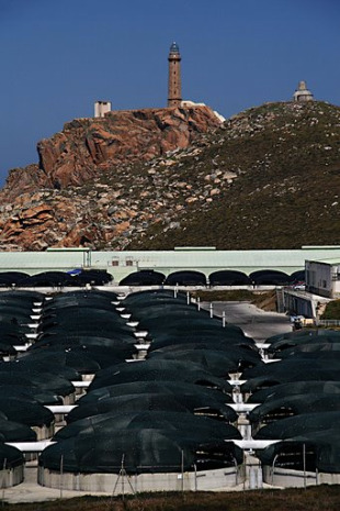 Imaxe da planta acuícola de Cabo Vilán (Camariñas) / Fuco