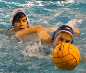 Dende ben pequenos comezan a practicar o waterpolo en Pontevedra