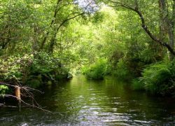 Río Figueiras, en Mondoñedo (A Mariña)